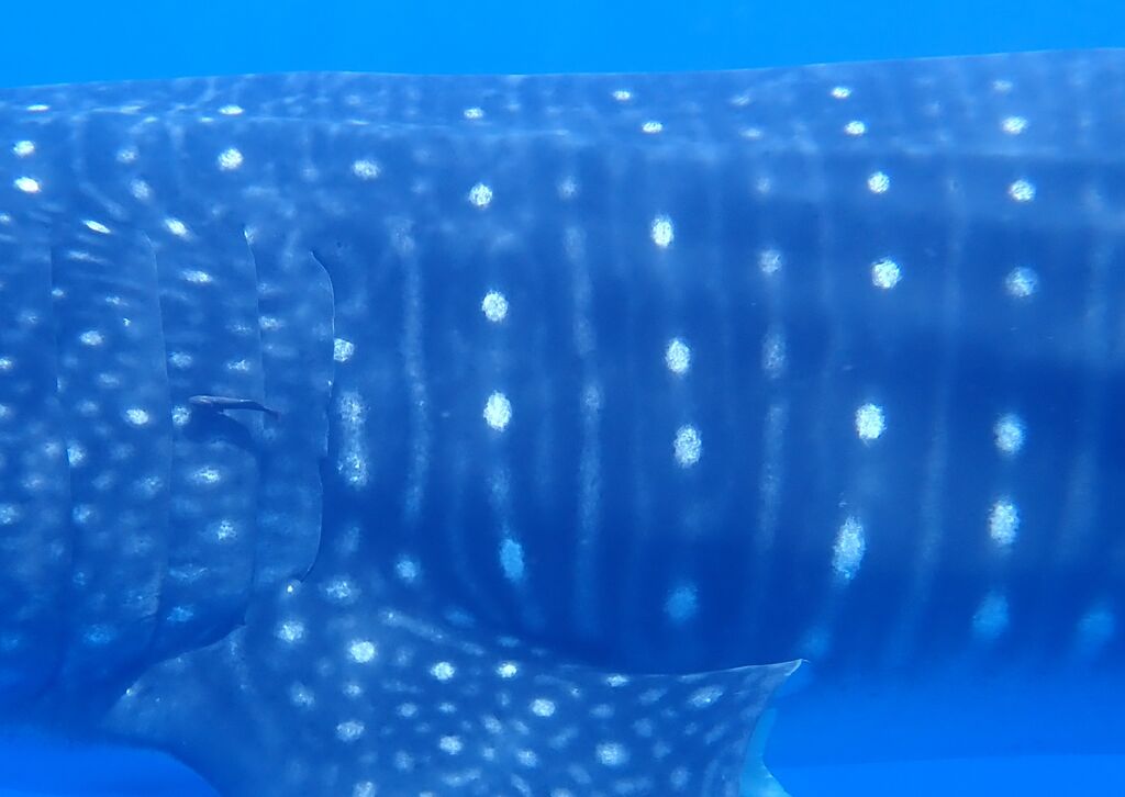 6b7d8345-ef3e-4aea-9ffb-898ea05d376e