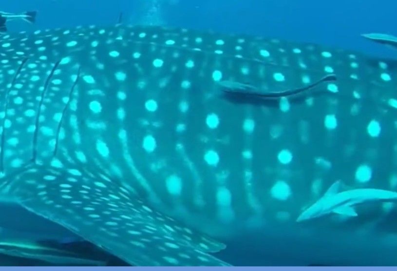 1f043e14-7c07-49d6-bafb-0cb59dd94a4b