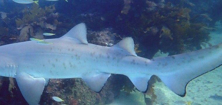 1934f939-913b-427b-83b8-dac34a906f76