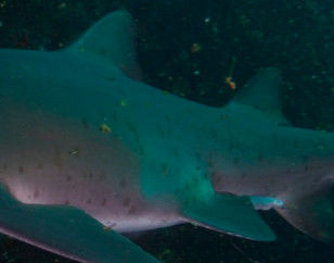 ba760ec0-698f-4bc9-9d6e-b36aa0d6a8bf