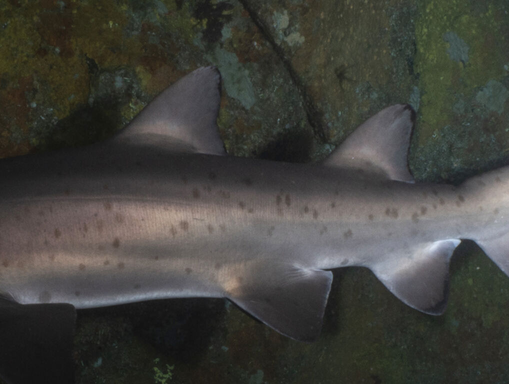 483c90d2-fbc6-4ab0-8a47-259ee04f7d83