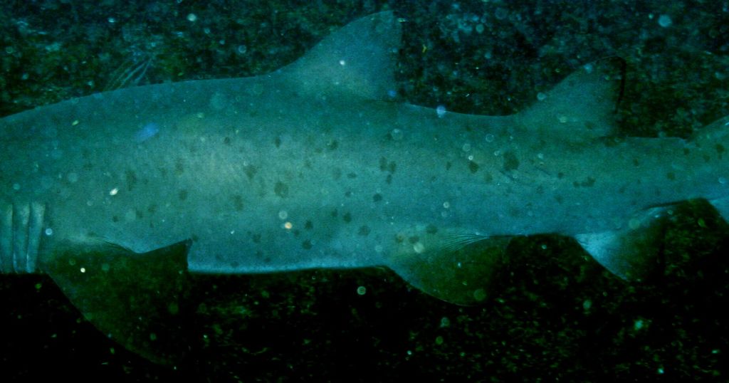 63aa5359-f689-48e1-8f98-35074a2dccdc