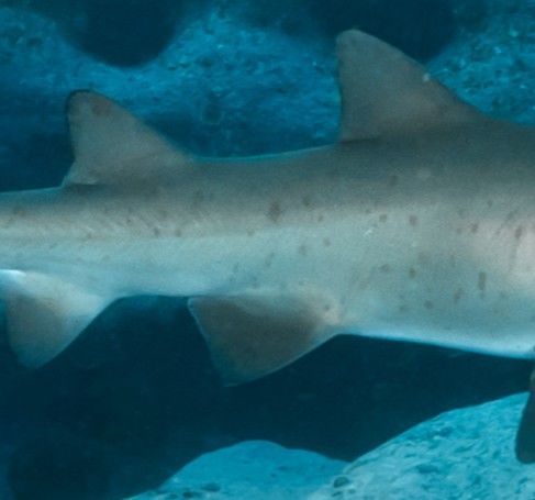 2dc9b0a1-44b7-40e7-8b70-808b604e09b6