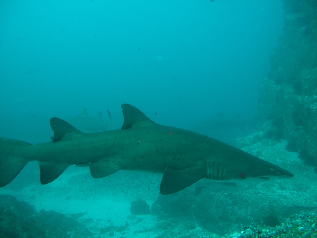 976db352-6197-45dc-9e08-c5b7598cf411