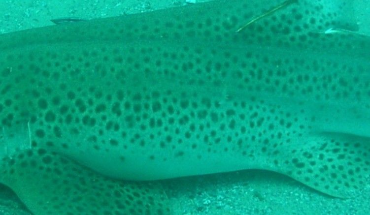 e95d2df0-b714-4055-970f-ac21d3046c4c