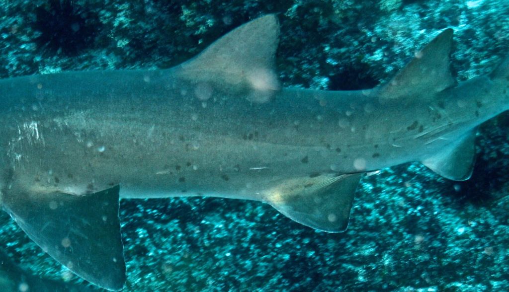 be45bb6c-89b3-4029-a6ef-e6774b972d04