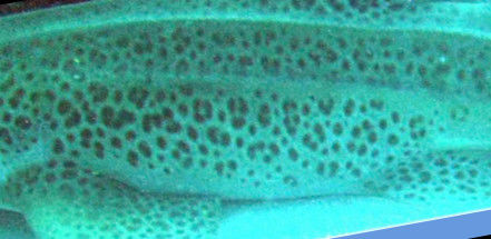 6b7d1fb2-e18a-43ec-9823-3c0ac936ed9c