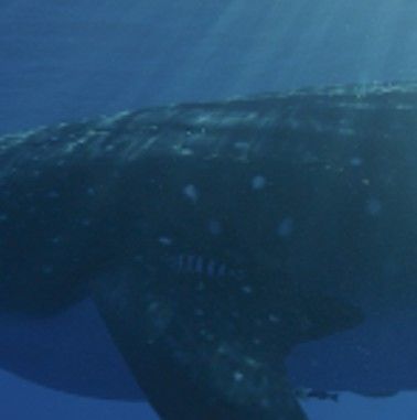 33822cd0-c811-4167-b23f-fccb98c7b8d5