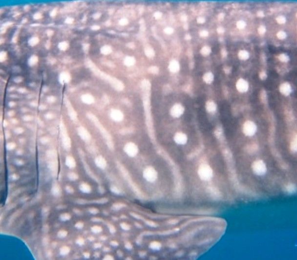 d5f69560-d194-4d56-b905-abdbf6b2c9a0