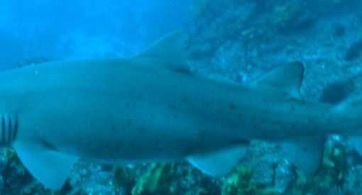 e37d1e9a-82de-40ea-b130-91603f587220