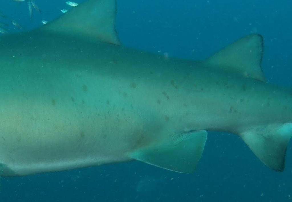 adf3567b-d41a-4323-8fe0-37f2b43dadc8