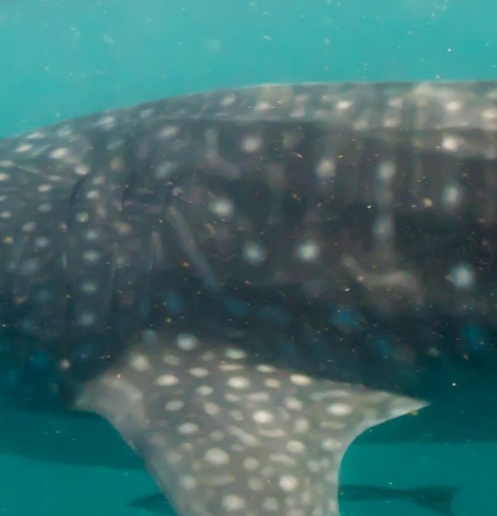 53431f87-b82a-4bd3-8d95-bca1daf21245