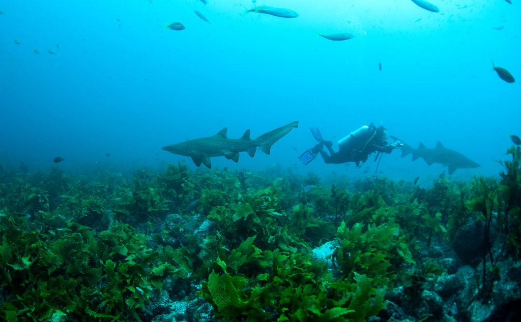 336478e5-659d-448f-9a54-edf9dd64e985