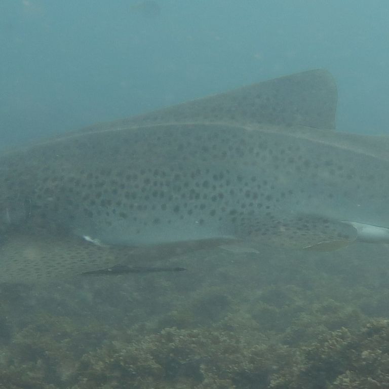 a62a67d3-73d8-4fe4-b3d5-90bed4a8756f