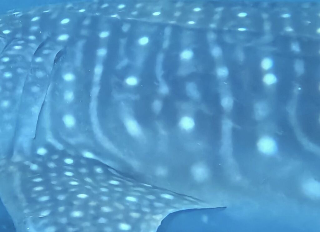 5126dc7e-f759-4ad0-a433-6bc3aad46146