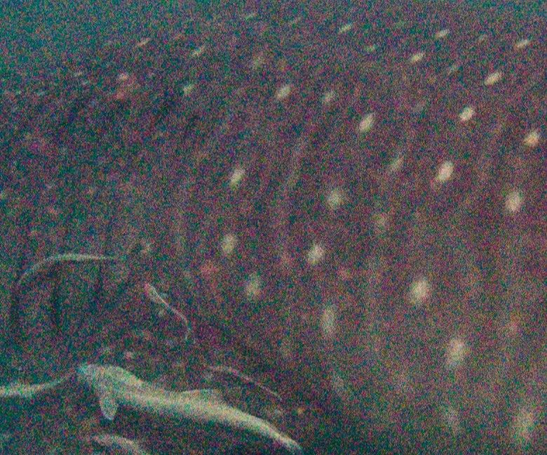 f880c1b4-4cf7-4dc4-9120-daf3b193718a