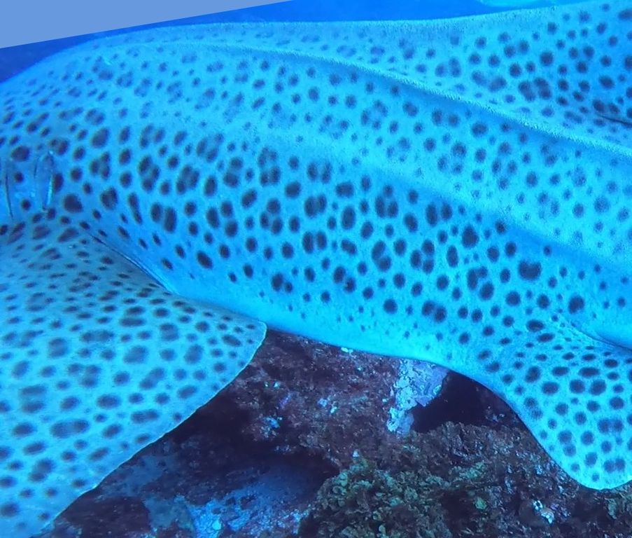 fddefede-ab19-47d6-b0aa-c206d598930e