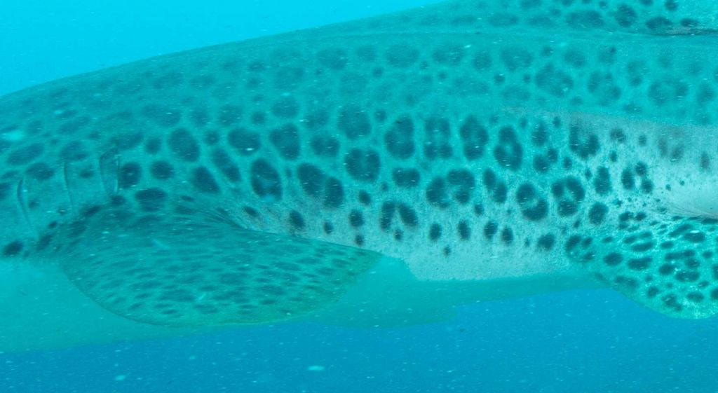 3af54e77-5319-4352-8e7d-d25c959ee0d3