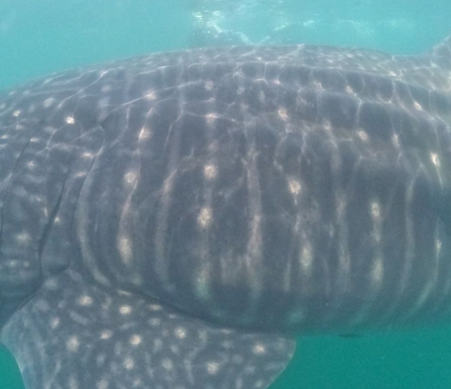 5b6a5ce5-f4fa-4cb3-b326-7c9854764f73