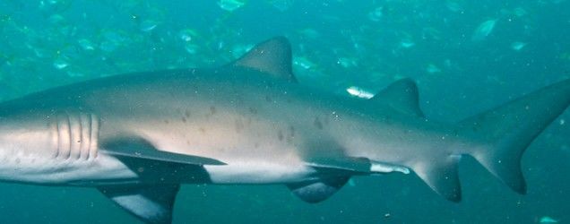 a7a22f37-5079-43c6-afbb-35325b012001