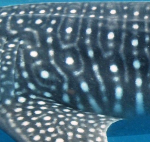 7fad0e35-4d8d-499b-9183-dca32d3ccc32