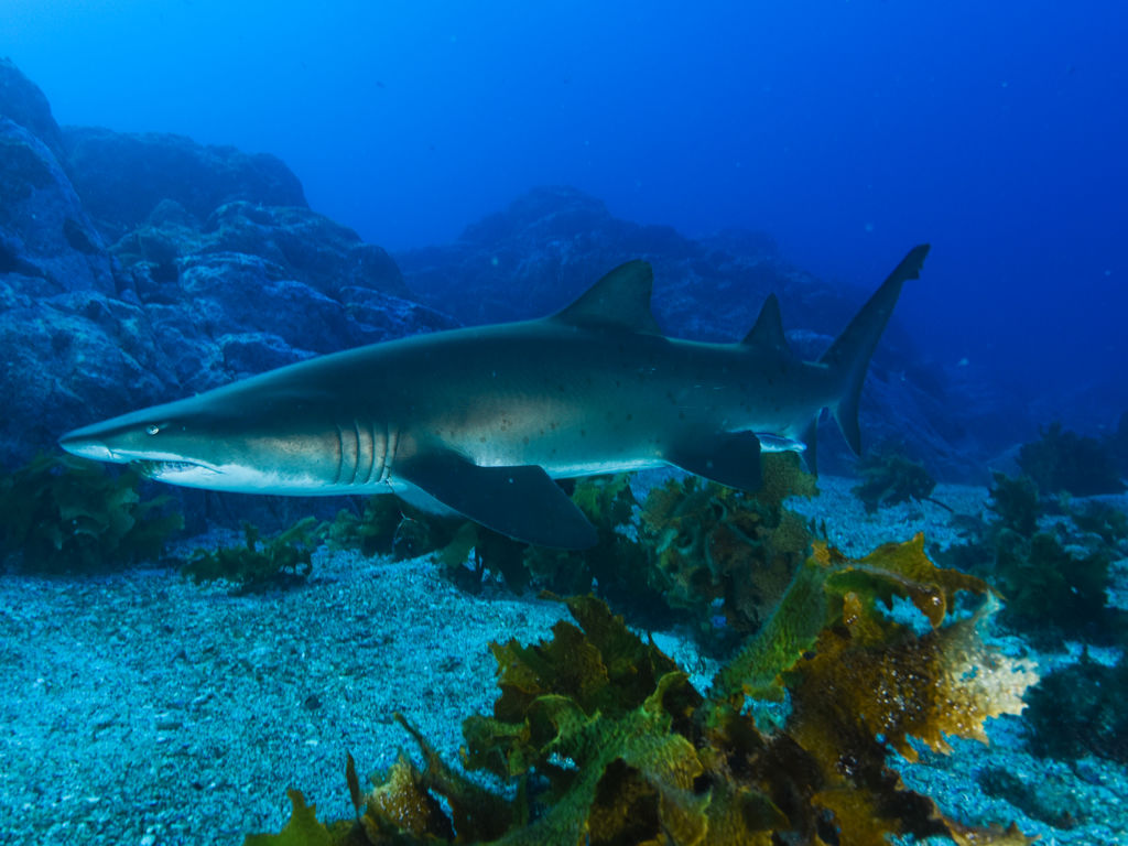 5ec17ae7-7bc7-4738-83cf-b2b4381fb5f2