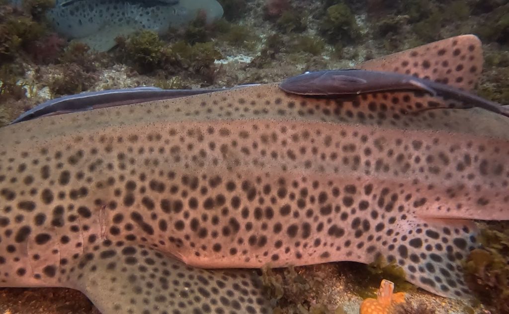 6ded00ef-f619-46a8-b195-f95e54ea13e2