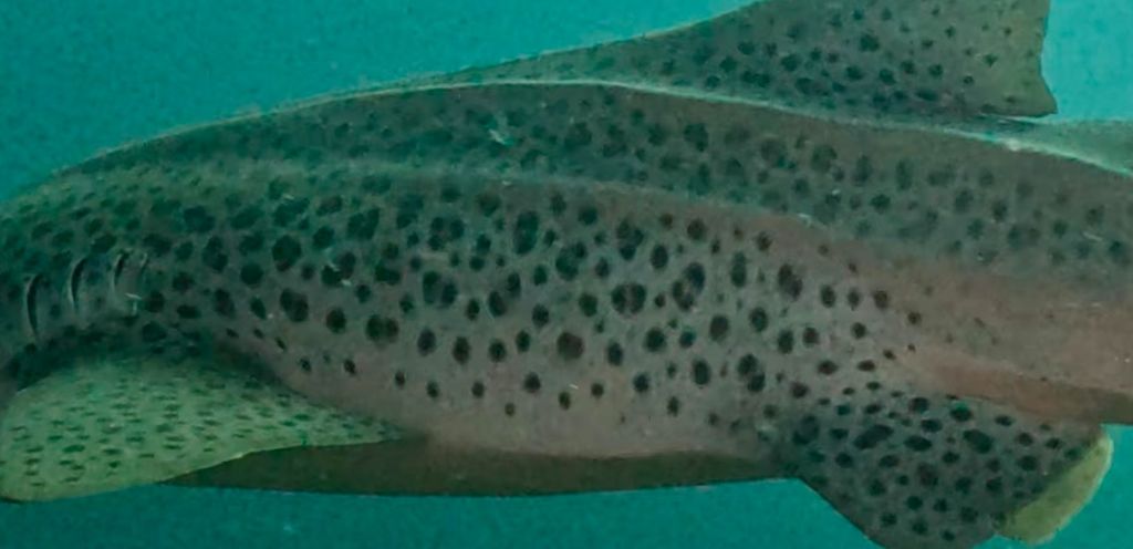 d30cac97-a151-4627-a645-c639673e6595