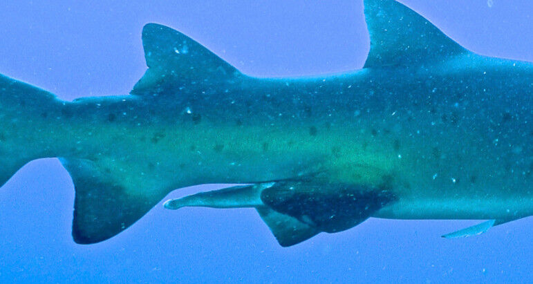 451d2b02-0b16-42be-872e-bddecea7eca2