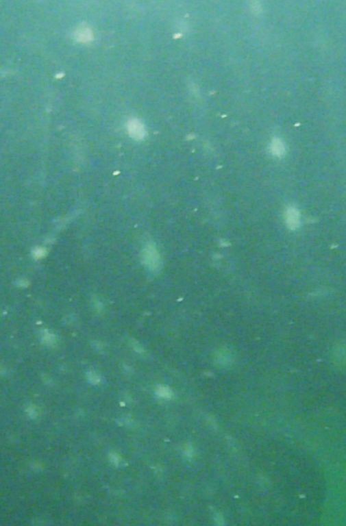 69bf55ed-d7e7-4e11-97b0-524abe904457