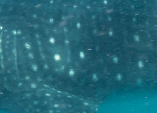 ce895e95-1d67-4978-9ed6-6c8c8db483f9