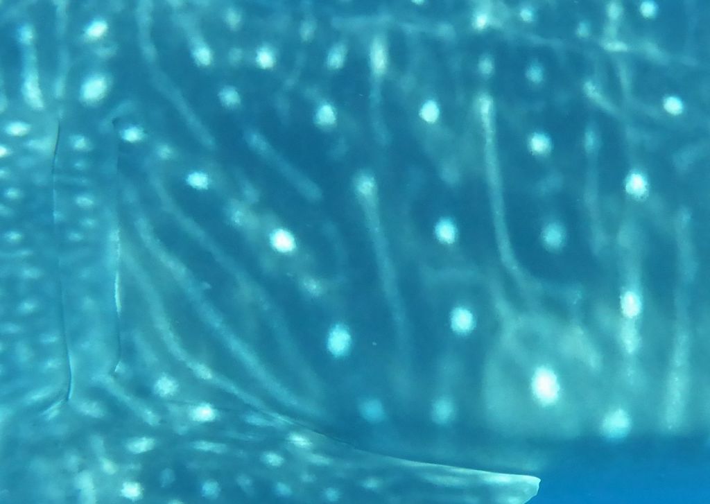 5a6601e0-5ea4-45ab-bfd7-561f9f8a1b8a