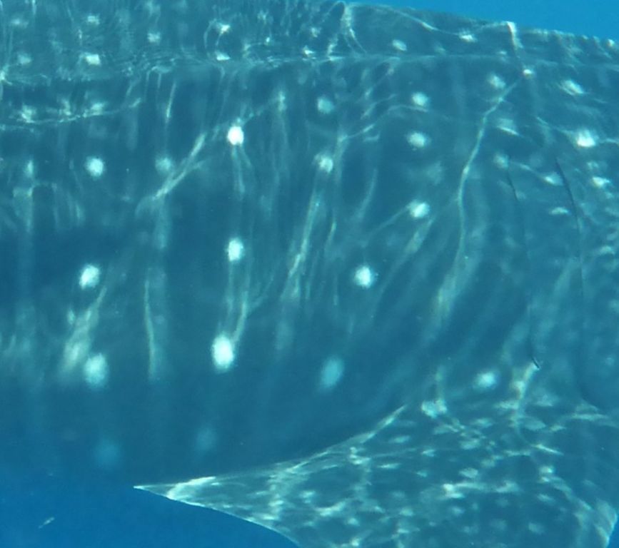 5a6601e0-5ea4-45ab-bfd7-561f9f8a1b8a