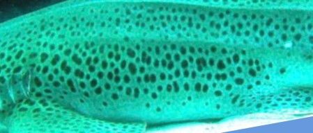 9f40b05d-5cb6-40a1-8c3b-21618f11febb