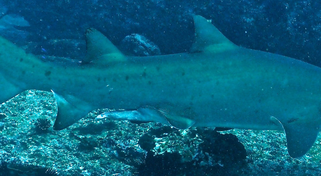 91bd8f86-edf9-4cb8-9edf-00062afce636