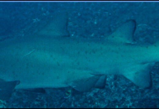 1028a2d5-3d55-4183-bec8-a0f6361bd48a