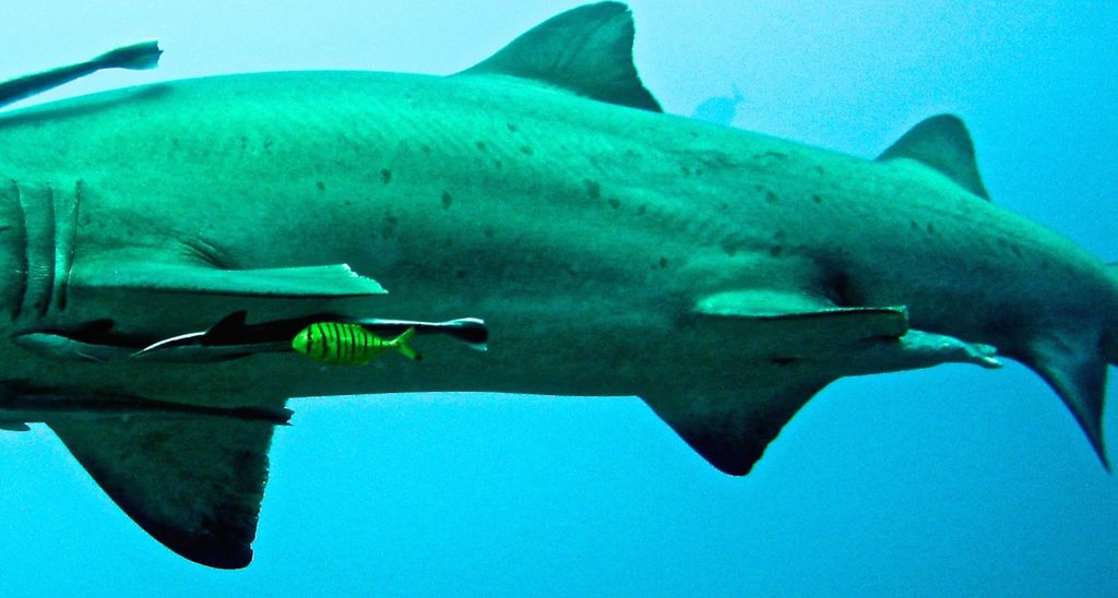 f0e9e635-537c-4799-827f-b6f66aebe6b4