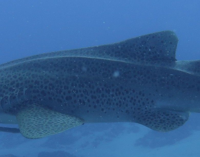 688d1982-4077-4e9d-989a-085b79bcb1e7