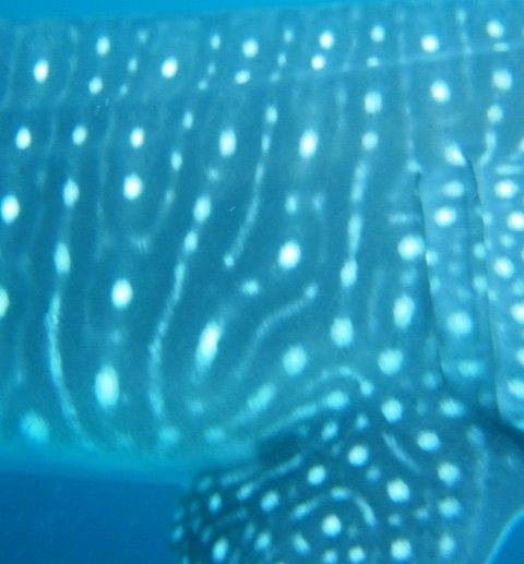 f19c9fce-7182-44cb-8db2-cb5695bb7ab7