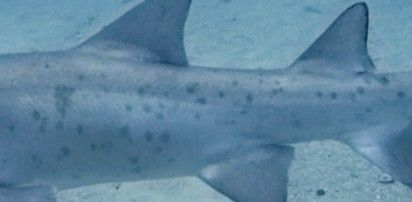 9a1f3331-557c-4f72-84dc-ec776e125b15