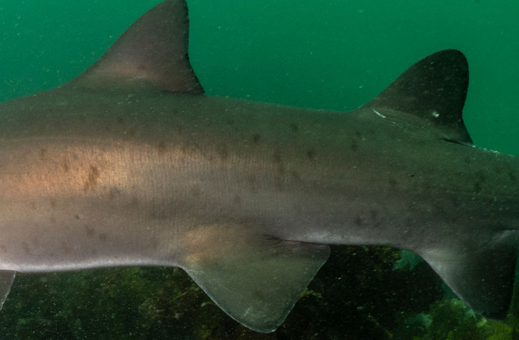 a9bb96c3-0d1f-4c39-b905-8f5c06ef7ff5