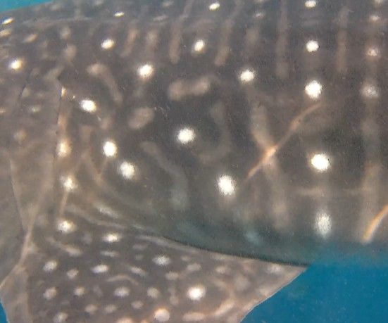 3fa1c1d0-fd54-4226-a5ab-82d60ce54141