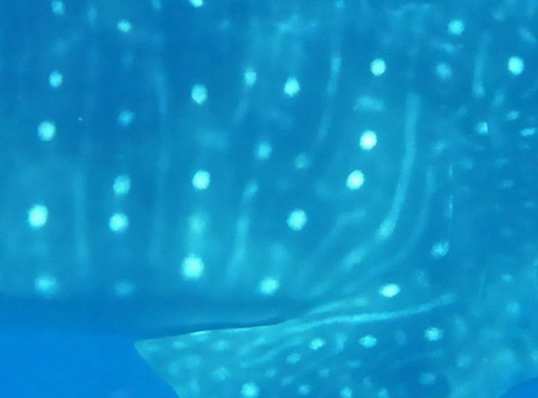 c53c8746-bcc8-4a62-87bb-83244c83bfcf