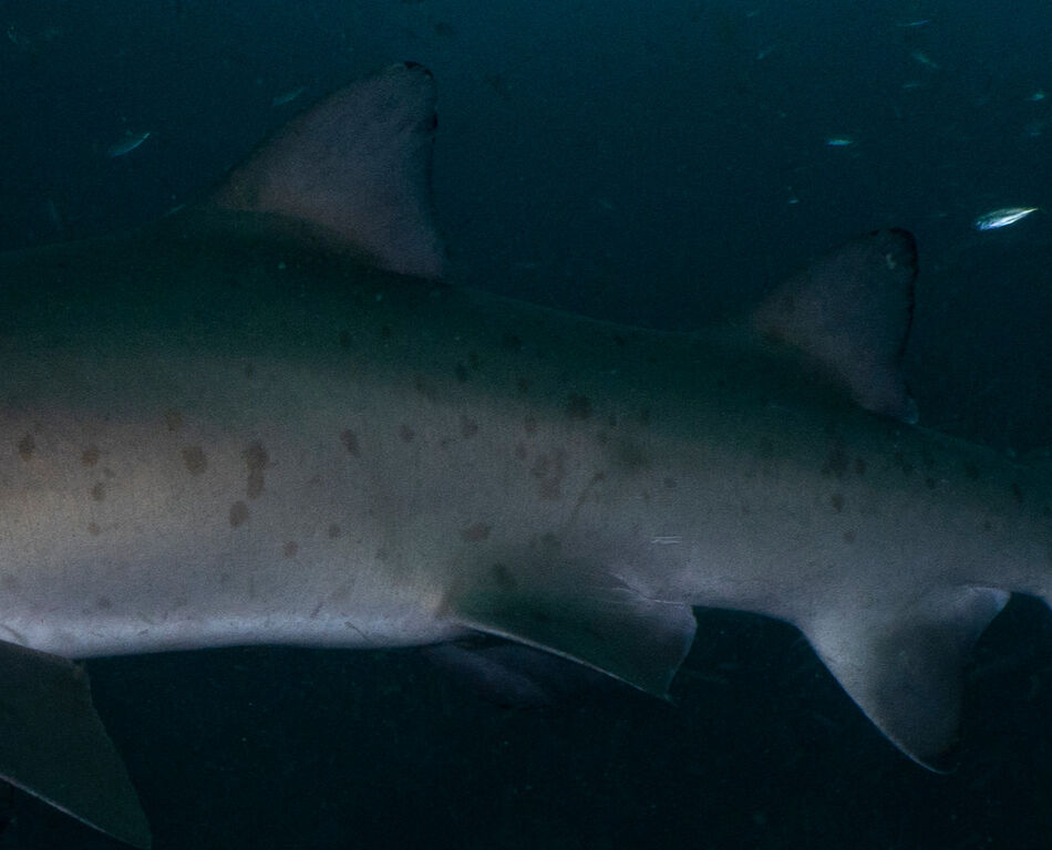 36074ac6-f211-4530-9221-7e520108641c