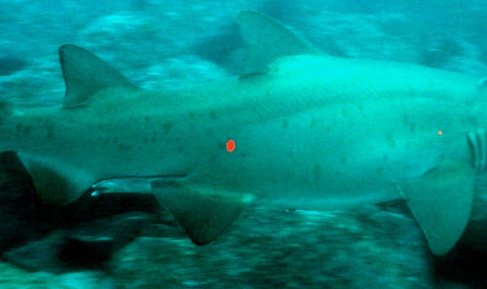 a2f29677-34ef-4051-8210-c57659a631af