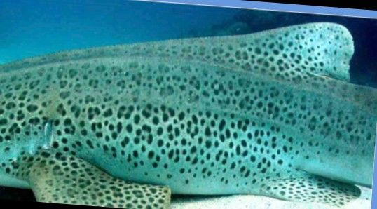 b441ad66-3203-426f-b68b-9274a50ffbc5