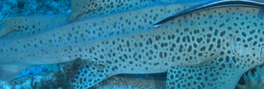 f31d39e6-76b0-4629-90fe-e298725bc01e