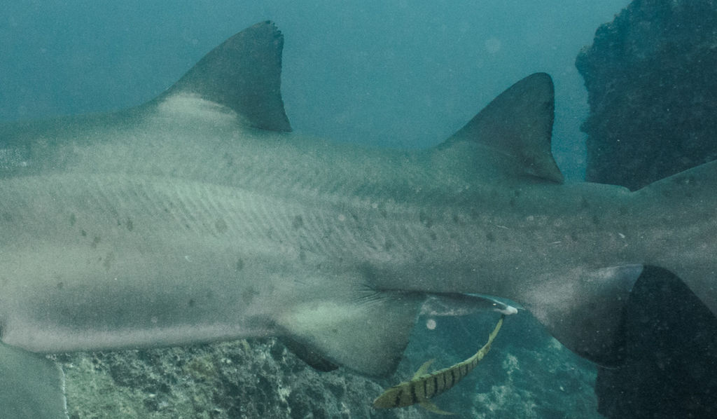 b388f88d-c351-4717-bbf7-83e0667d3b0e