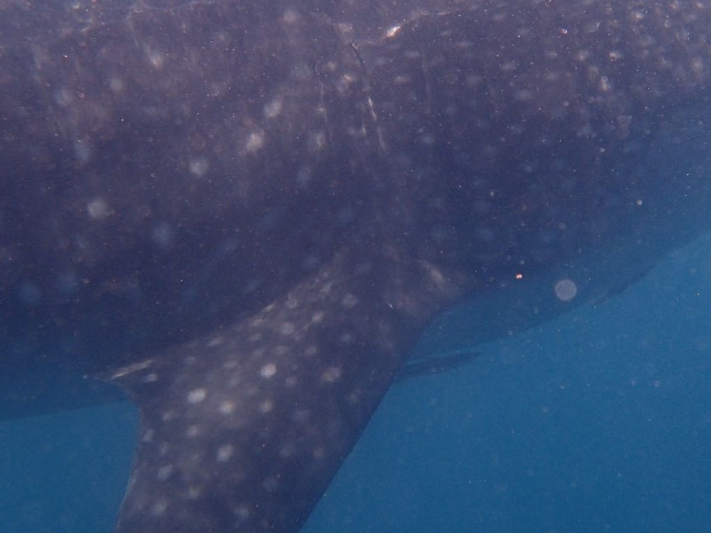 9f4b0141-ff67-46c3-80c8-17c482f90e58