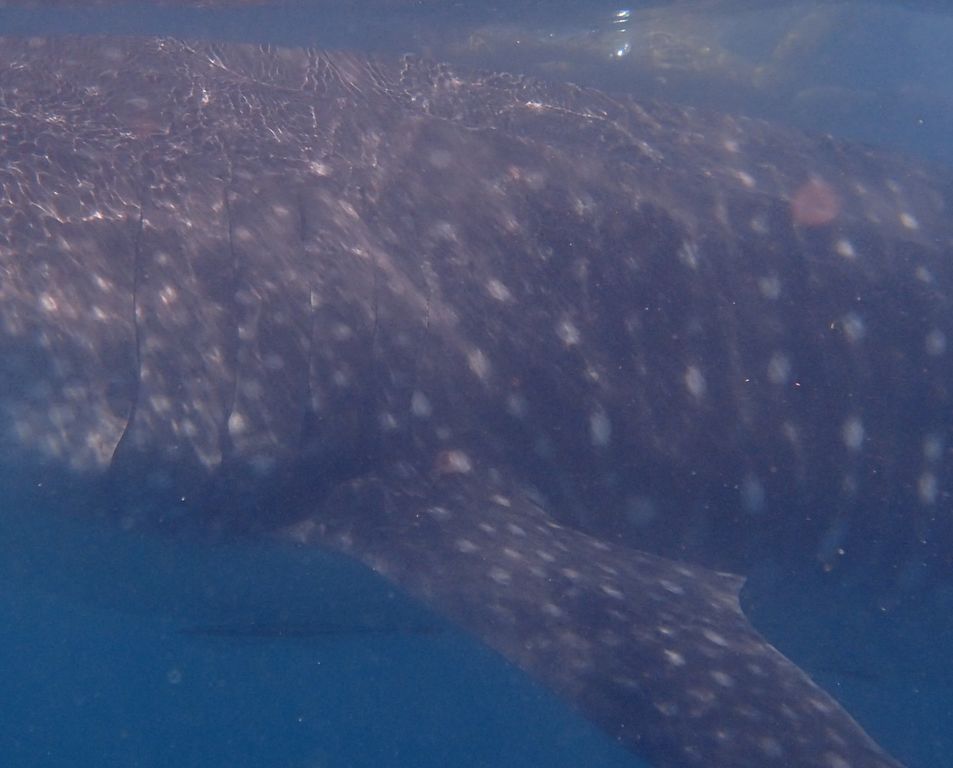 9f4b0141-ff67-46c3-80c8-17c482f90e58